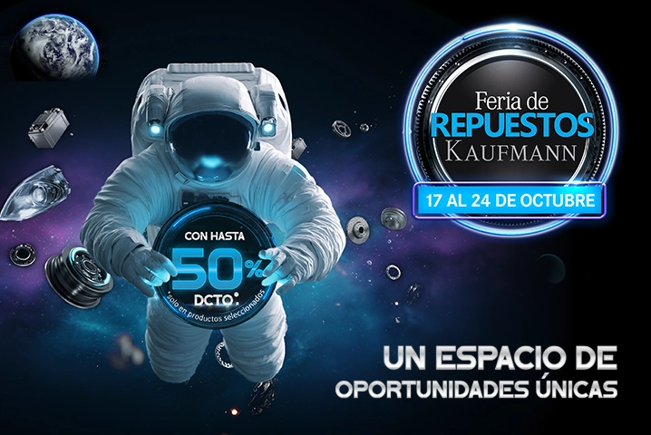 feria repuestos
