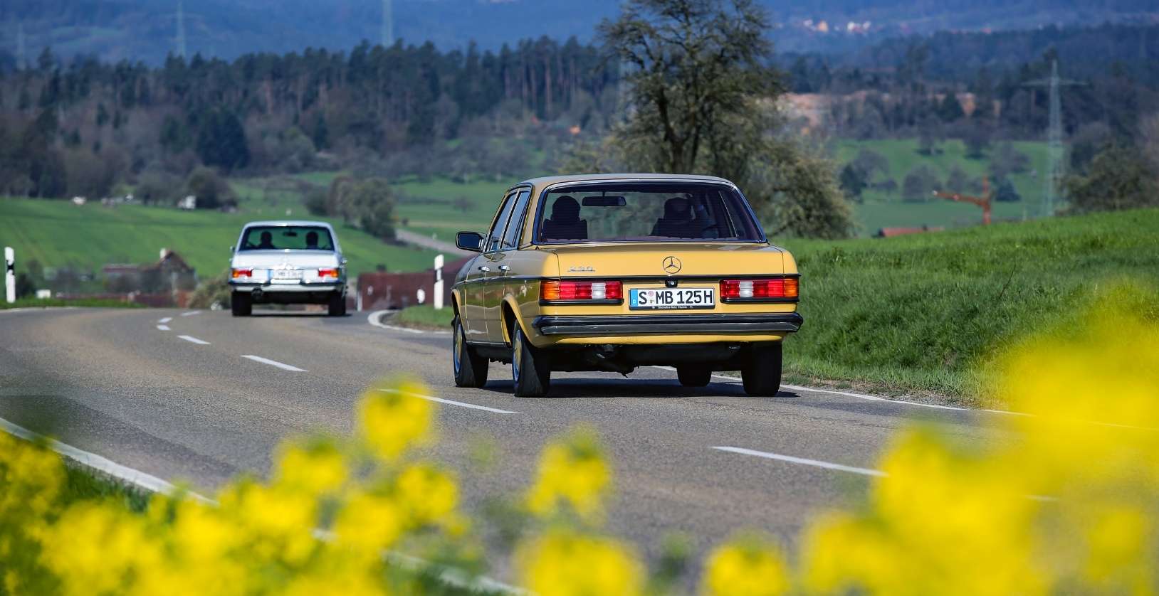 Mercedes-Benz Serie 123 cumple 50 años como ícono automotriz