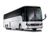 buses