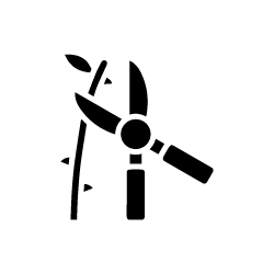 Construcción